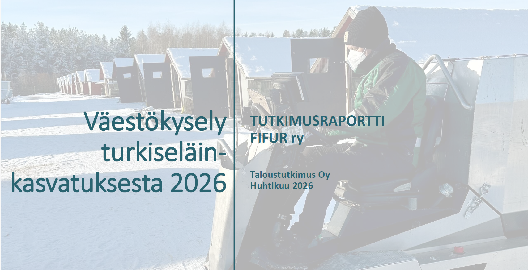 Väestötutkimus 2026: Turkiselinkeinon ja turkisten kannatus nousussa etenkin nuorissa ikäluokissa